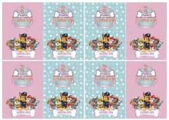 Imagem do Kit imprimible Patrulla Canina Rosa
