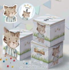 Kit imprimible Argentina Gatito fan de Messi