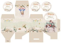 Kit imprimible Peter Rabbit en internet