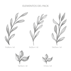 Pack de hojas Traful - comprar online