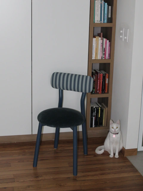 Silla ensayo / azul