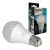 CANDELA LAMPARA LED 7W FRIA X10 - comprar online