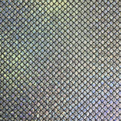 Tecido Malha Holográfica Sereia/Escamas Prata