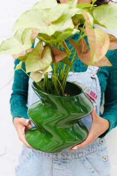 MACETA LAMBADA GRANDE + SYNGONIUM PINK - comprar online