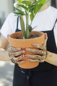 SERVICE DE JARDINERIA ZONA NORTE en internet