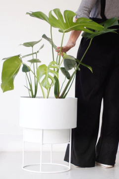 MALMO 3 + PLATO OCULTO + PIE DE HIERRO en internet