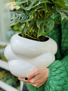 DUO MACETA CLOUD + PERUVIANO - comprar online