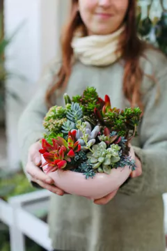 PAILA MINI + MIX DE SUCUS en internet