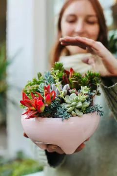 PAILA MINI + MIX DE SUCUS - POTIT - Tienda Online