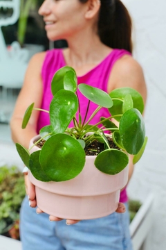 DUO GAIA 02 + PILEA