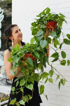 CORDATUM - comprar online