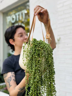 MACETA TERRA COLGANTE + SENECIO - comprar online