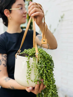 MACETA TERRA COLGANTE + SENECIO