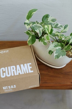KIT CURAME - comprar online