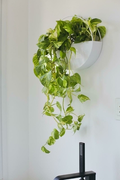 WALL LUCCA GRANDE + POTHUS - comprar online