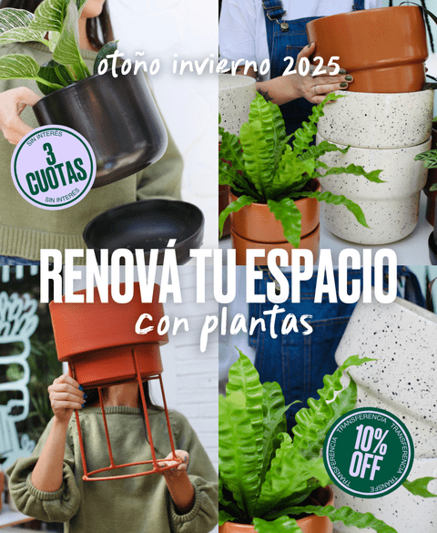 Carrusel POTIT - Tienda Online
