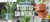 Carrusel POTIT - Tienda Online