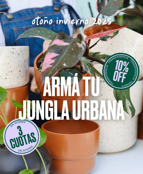 Carrusel POTIT - Tienda Online