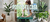 Carrusel POTIT - Tienda Online