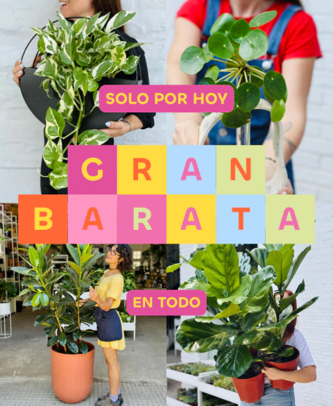 Carrusel POTIT - Tienda Online