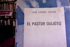 El pastor Quijótiz - José Camón Aznar