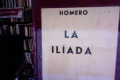 La Ilíada - Homero