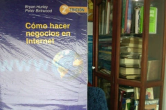 Cómo hacer negocios en Internet   - Bryan Hurley - Peter  Birkwood ISBN 9798423417413