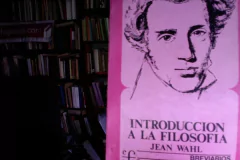 Introducción a la Filosofía - Jean Wahl