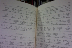The Egyptian book of the dead - E.A.Wallis Budge - editado por Dover Publications - New York año 1967 - comprar online