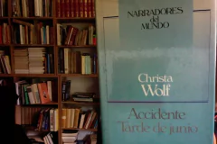 Accidente tarde de junio  - Chistra - Wolf