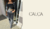Banner de Flor de luxo - sua loja Online 