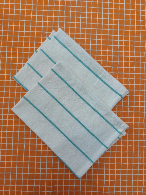 Servilletas Tusor crudo y esmeralda ( 2 u.)