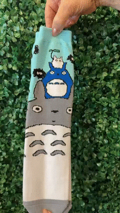 Medias Totoro en internet