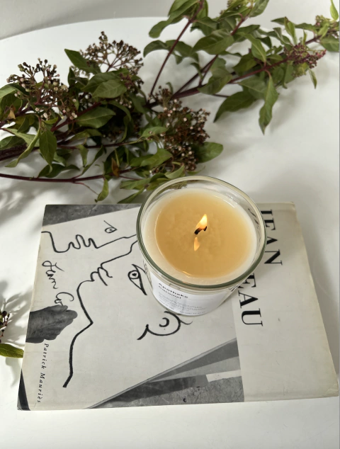 vela palta y menta - Ártico Store