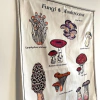 Tapiz fungi M - Ártico Store