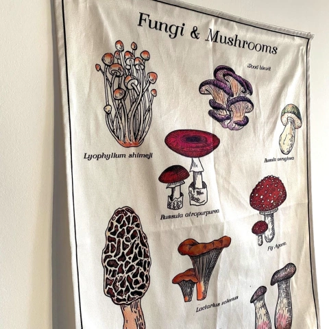 Tapiz fungi M - Ártico Store