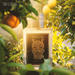 Perfume Above All - Extrait Parfum