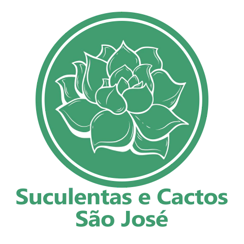 Suculentas e Cactos São José