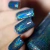 Imagem do Eucalyptus