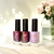 Trio Dia das Mulheres 2025 - comprar online