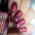 Poinsettia - loja online
