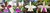 Imagem do banner rotativo Orquidário Klippel