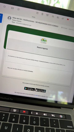 Matera & Yerbera CHILL Grey - HONU Accesories