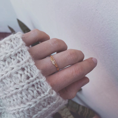 Anillo Mini Alitas Gold - Acero Dorado Z15