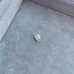 Aro Clack Starpeg - Plata 925 Y21.D