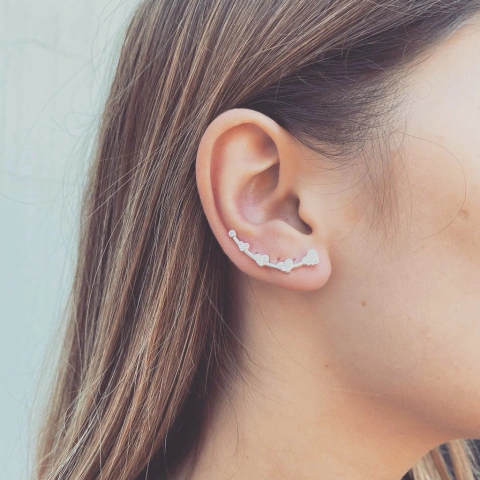 Trepador Corazones Shine - Plata 925 C10 K - comprar online