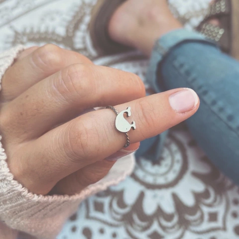 Anillo Origumi Ballena - Acero quirúrgico AN