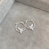 Aros Colibri Tornasol - Plata 925 Y21.E