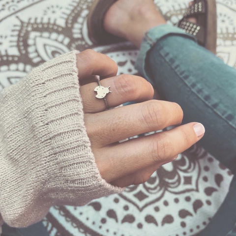 Anillo Origumi Vaquita - Acero quirúrgico AN