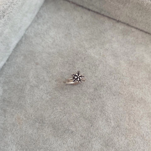 Cuff Estrella de Mar -Plata 925 A14.Q